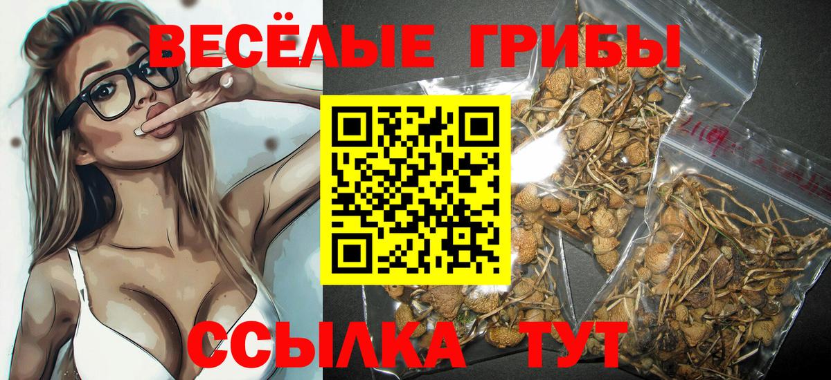 Псилоцибиновые грибы ЛСД Можайск